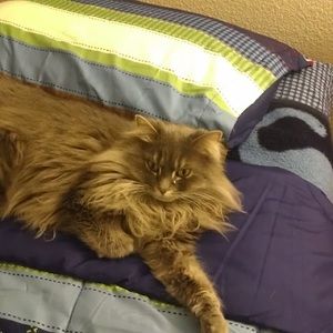 Meet your Posher, Zach